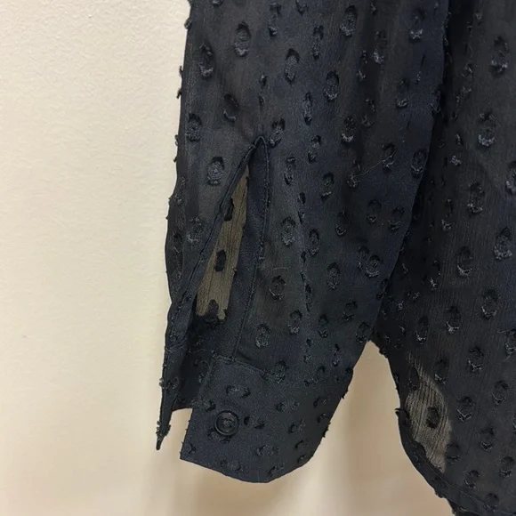 Banana Republic Black Sheer Blouse - Picture 6 of 8